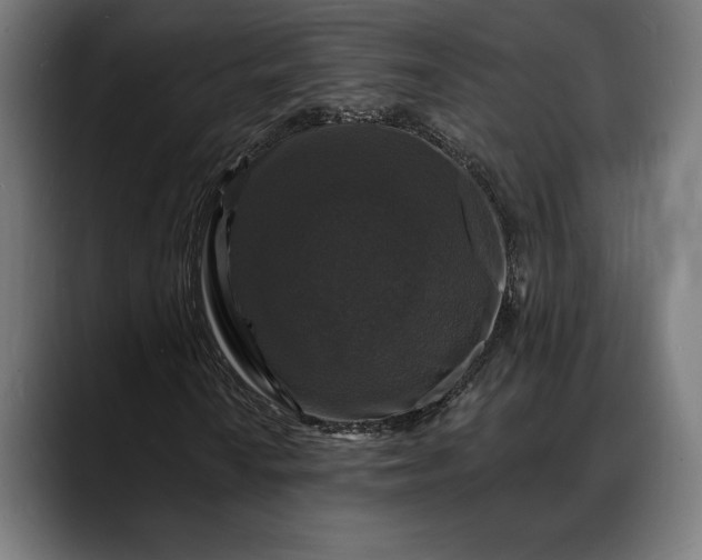 X0000088081010200705251404