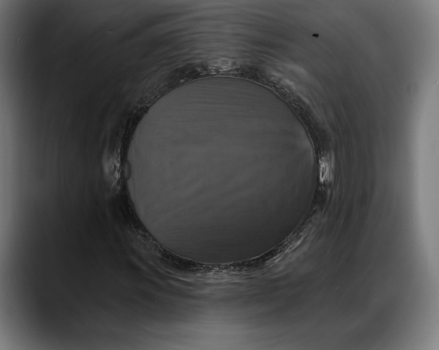 X0000088081011200705251404