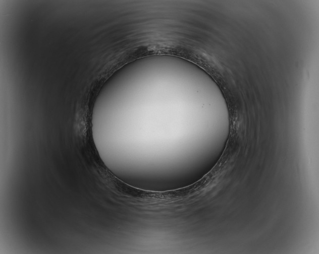 X0000088081012200705251404