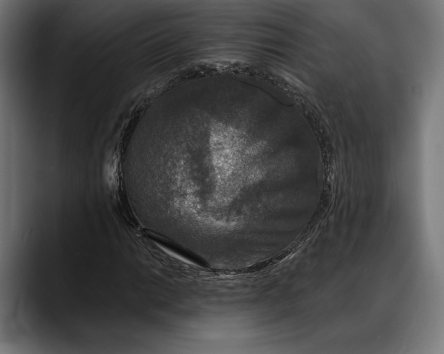 X0000088081014200705251404