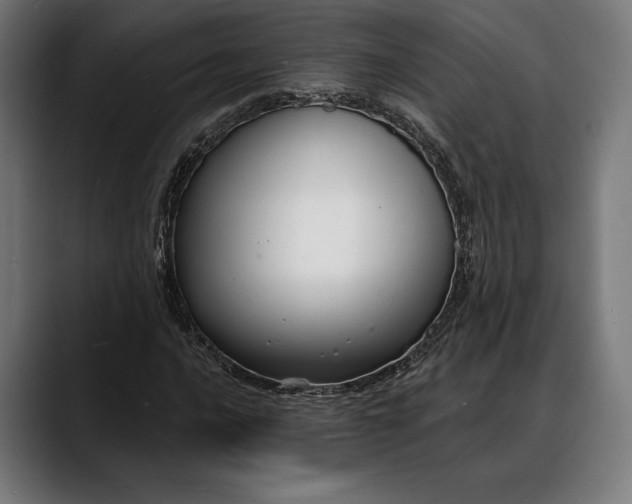X0000088081016200705251404