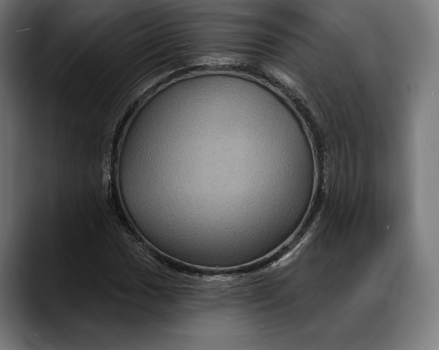 X0000088081017200705251404