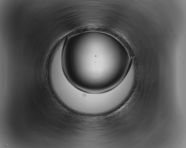 X0000088081018200705251404