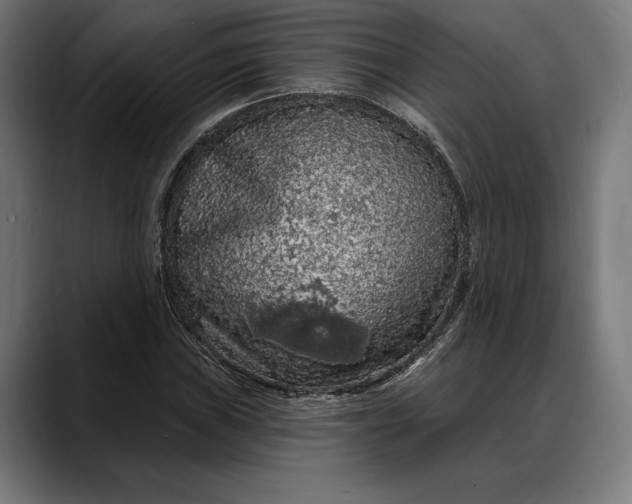 X0000088081019200705251404
