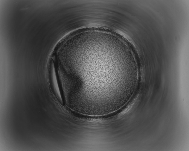 X0000088081021200705251404