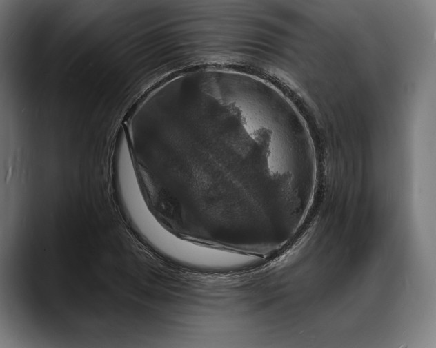 X0000088081025200705251404