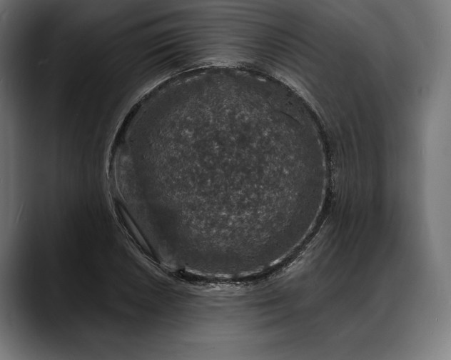 X0000088081026200705251404