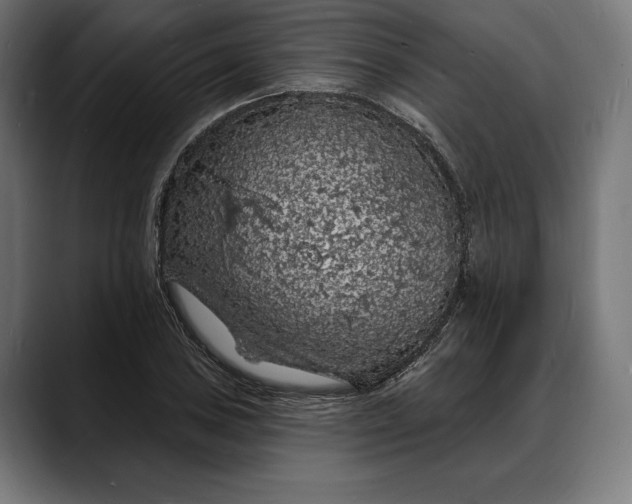 X0000088081027200705251404
