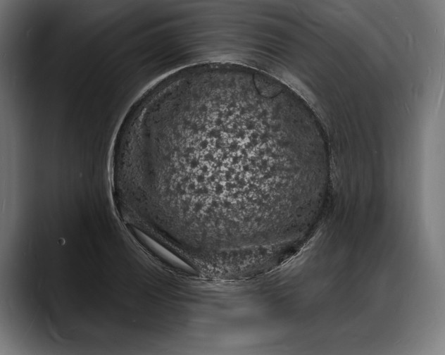 X0000088081028200705251404