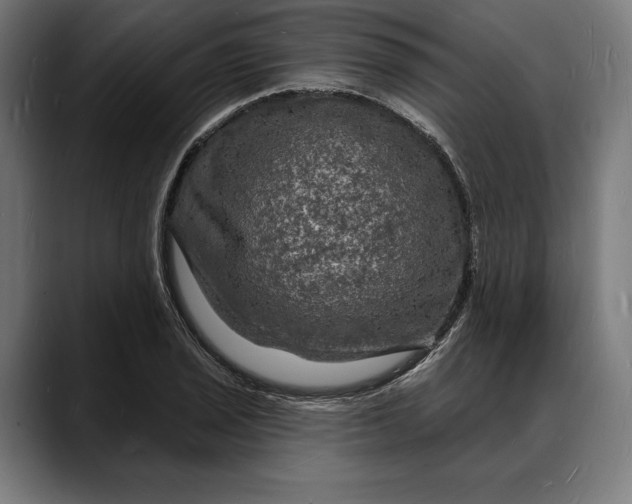 X0000088081029200705251404