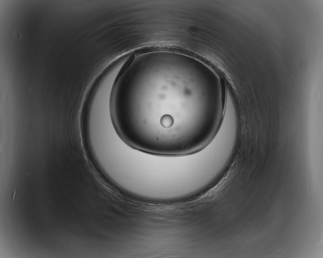 X0000088081030200705251404