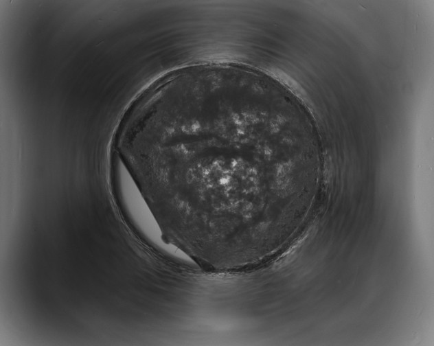 X0000088081031200705251404