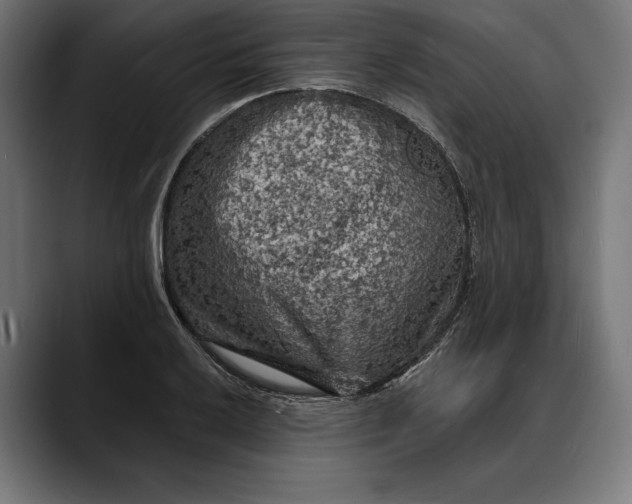 X0000088081032200705251404