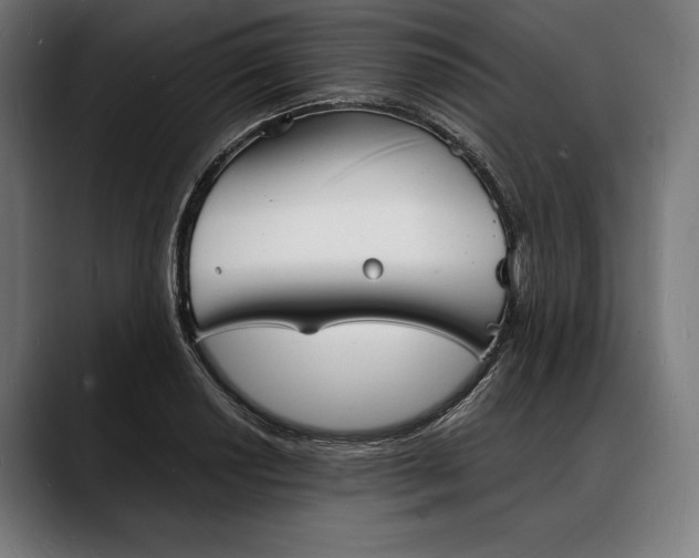 X0000088081034200705251404