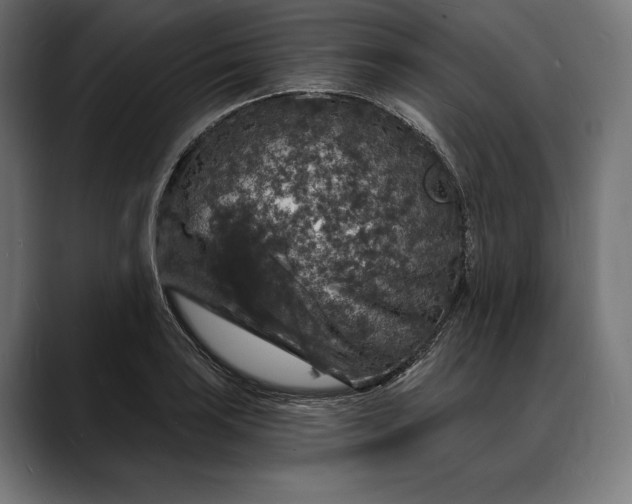 X0000088081035200705251404