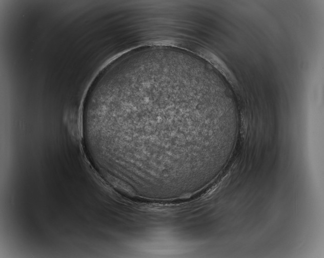X0000088081036200705251404