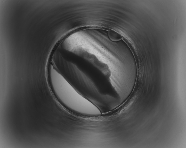X0000088081037200705251404