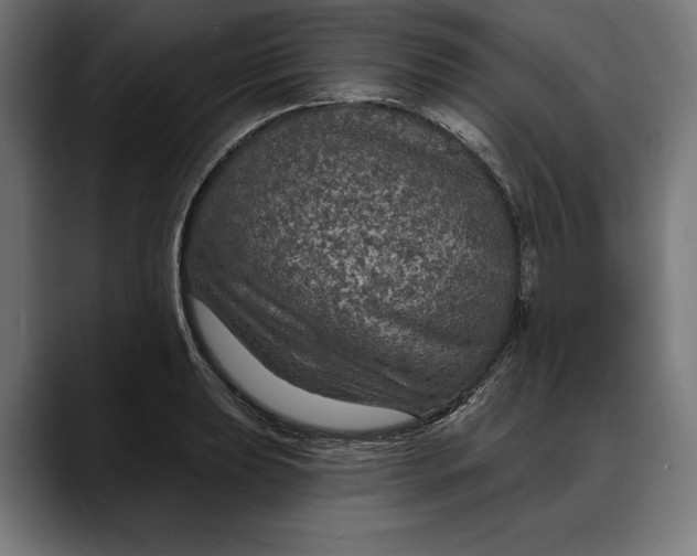 X0000088081039200705251404