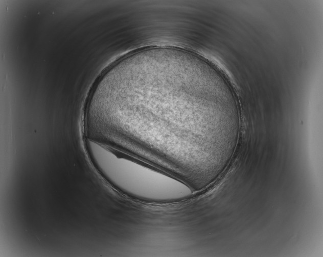 X0000088081040200705251404