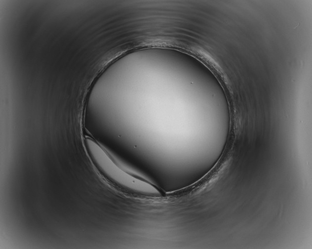 X0000088081041200705251404