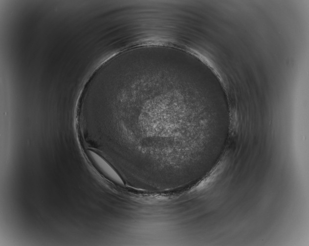 X0000088081042200705251404