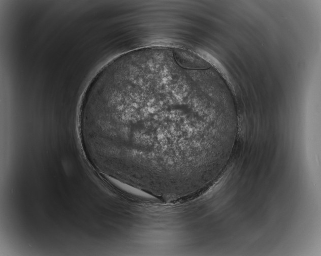 X0000088081043200705251404