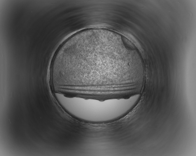 X0000088081044200705251404