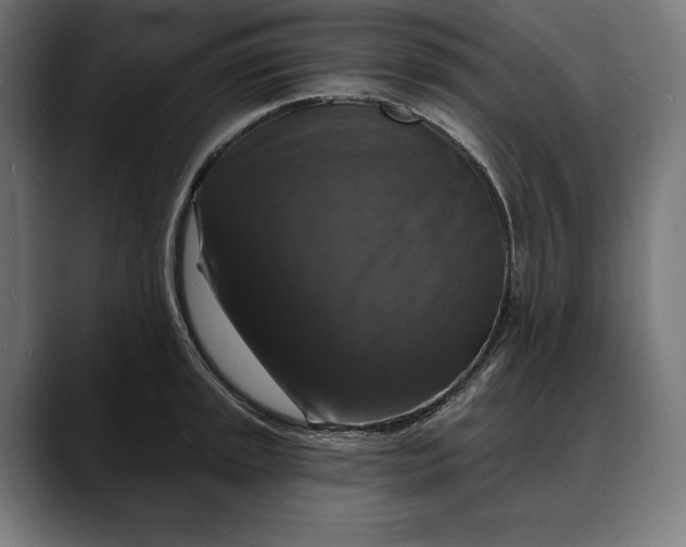 X0000088081045200705251404