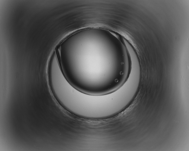 X0000088081046200705251404
