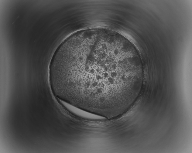 X0000088081047200705251404