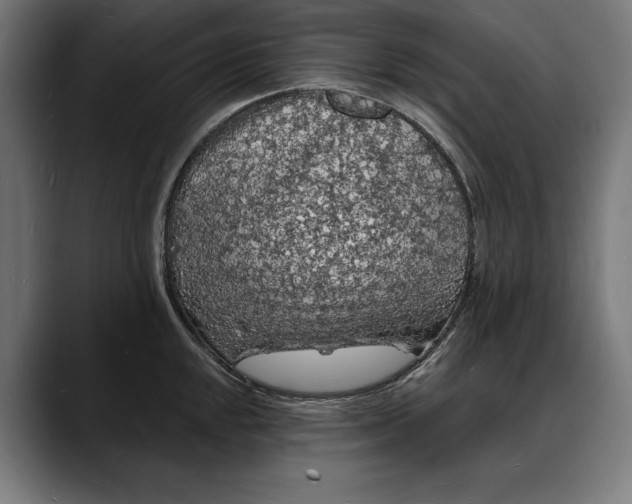 X0000088081048200705251404