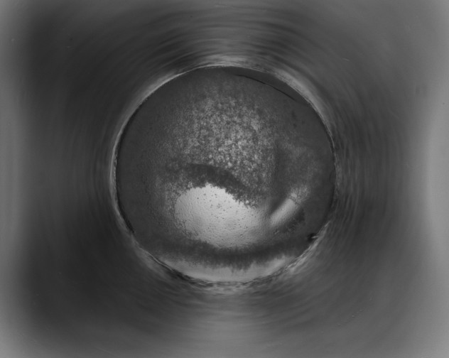 X0000088081050200705251404