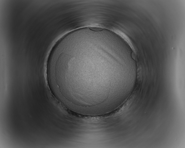 X0000088081051200705251404