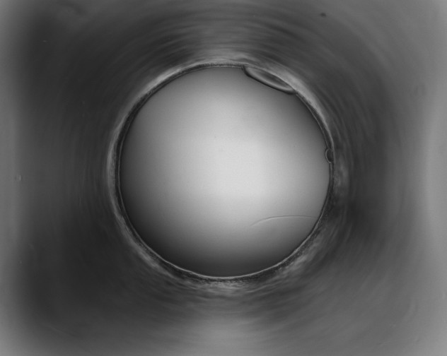X0000088081053200705251404