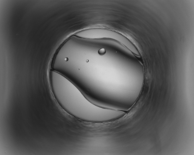 X0000088081054200705251404