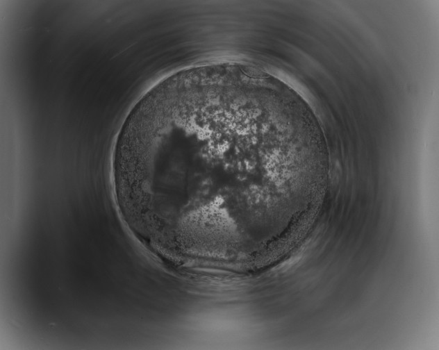 X0000088081055200705251404