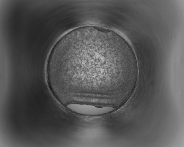 X0000088081056200705251404