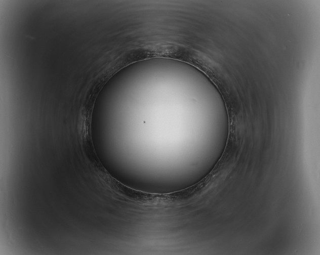 X0000088081058200705251404