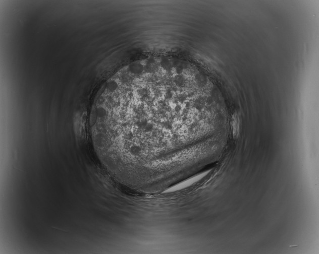 X0000088081059200705251404