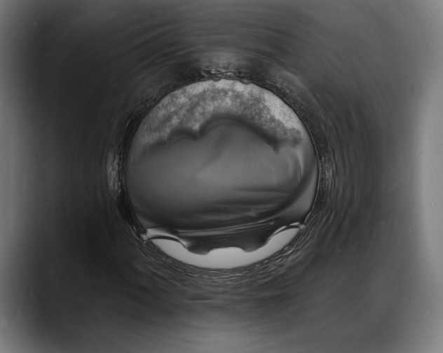 X0000088081060200705251404