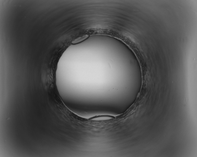X0000088081062200705251404