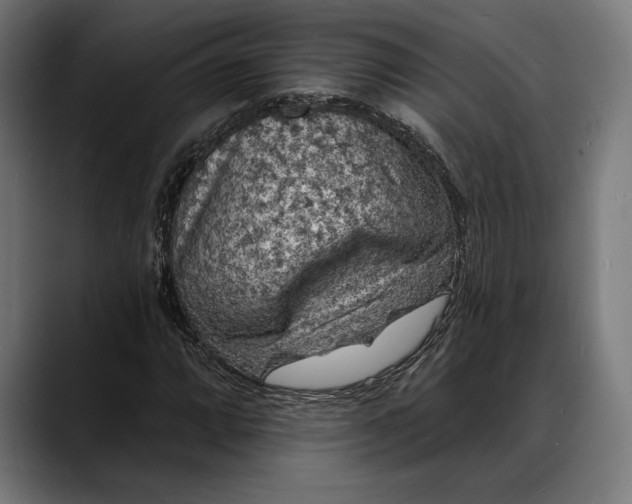 X0000088081064200705251404