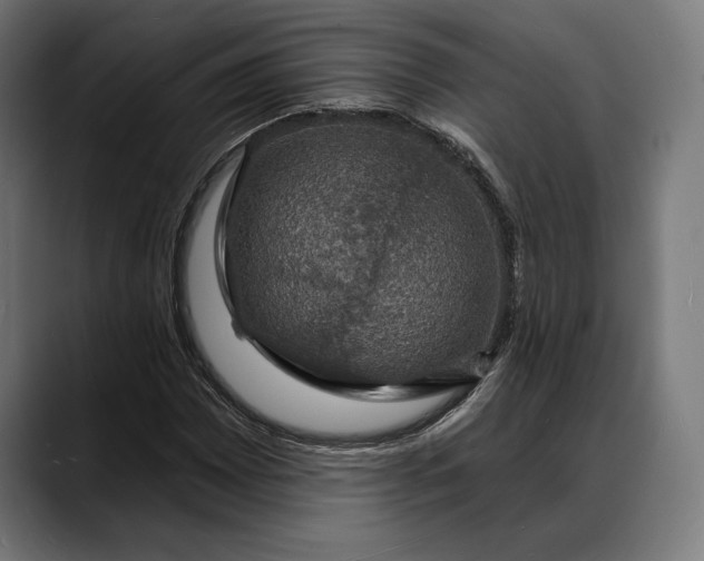 X0000088081065200705251404