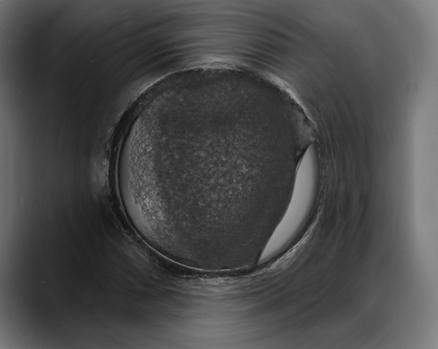 X0000088081066200705251404