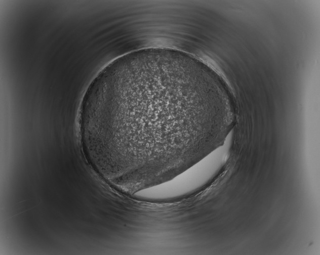 X0000088081068200705251404