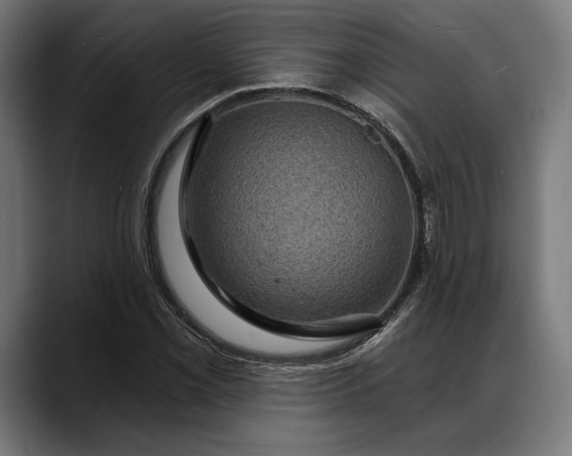 X0000088081069200705251404