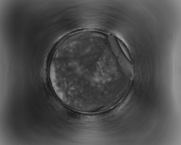 X0000088081071200705251404