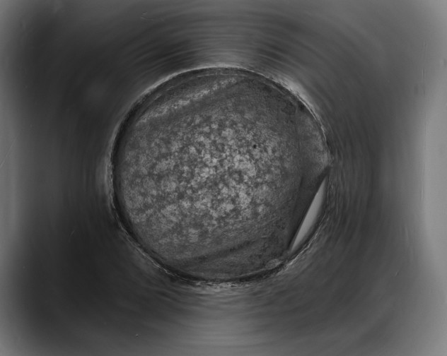 X0000088081072200705251404