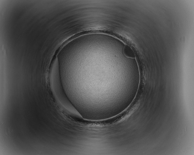 X0000088081073200705251404