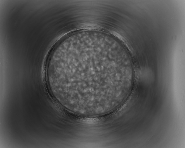 X0000088081074200705251403